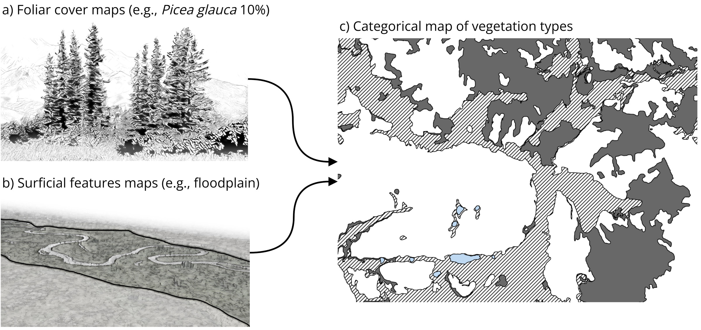 Foliar cover maps of diagnostic species sets combine with maps of surficial features to create a categorical vegetation map.